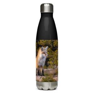 Winter Fox - Stainless steel water bottle