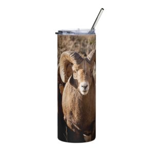 Bighorn Rams - Stainless steel tumbler